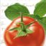 Salvrätikud "Bistroo Italian Tomato"