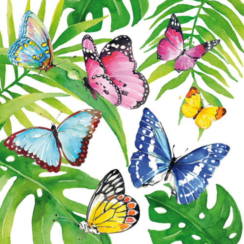 Salvrätikud "Tropical Butterflies"