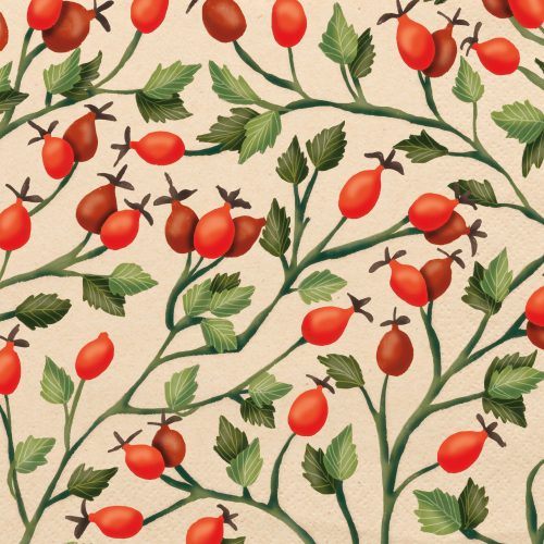 Salvrätikud "Rosehips"