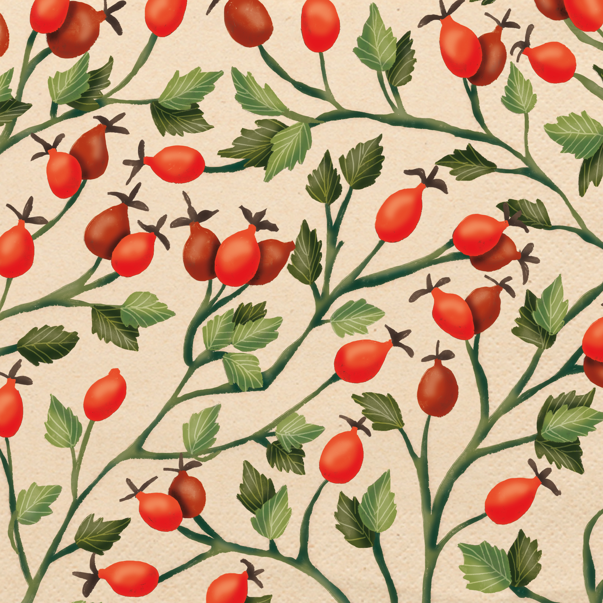 Salvrätikud "Rosehips"